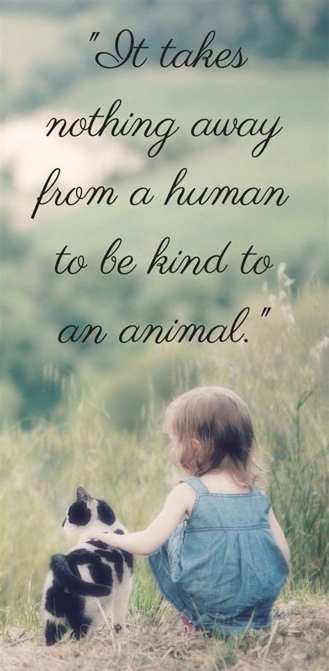 They feel love & kindness , pain & suffering just has we all do. It takes nothing away from a human to be kind to an animal. ~Sayings #kindness #kind #animal # ...