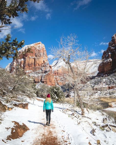 Why You Definitely Need To Visit Zion National Park In Winter — Walk My
