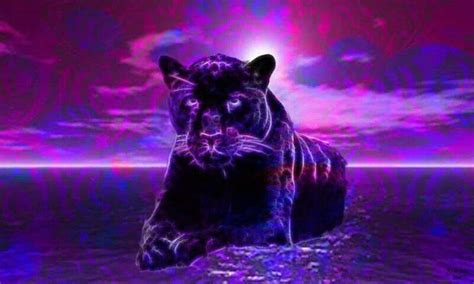 Panther Animal Jam Play Wild Purple Purple Animals