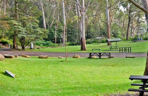Lane Cove National Park Picnic Booking Enquiry Nsw National Parks