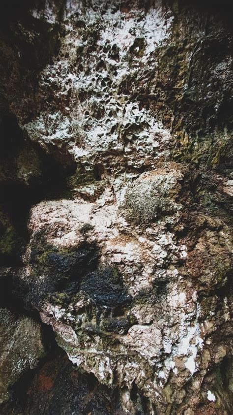 Texture Of A Wall In A Cave Stock Photo Image Of Rock Texture 235586660