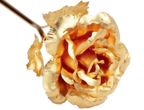 Why Gold Plated Roses Are Fast Becoming A Rising Trend In T Giving