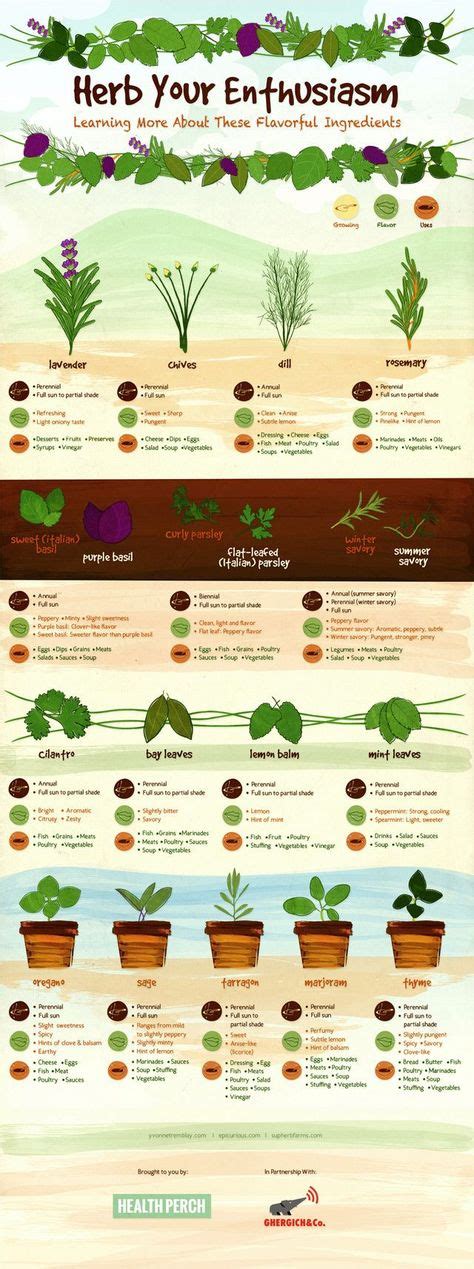 Herb Your Enthusiasm Infographic Growing Herbs Indoors Best Herbs
