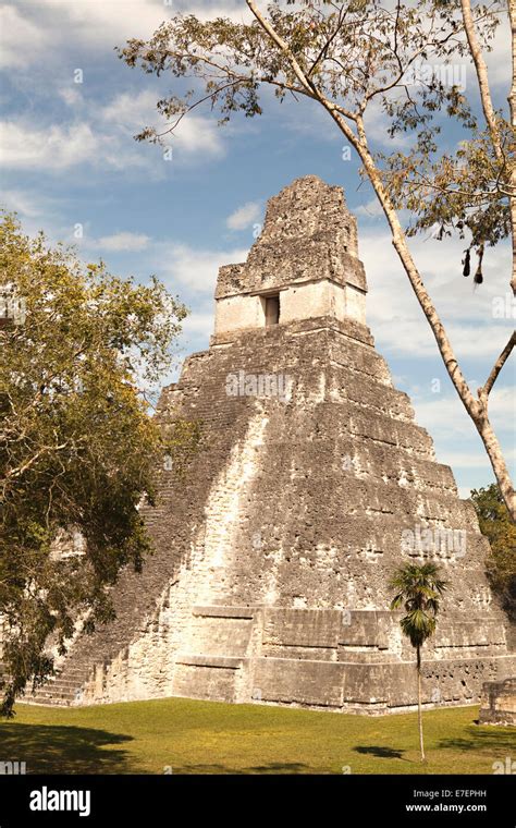Las Ruinas Mayas En Tikal Guatemala Fotograf A De Stock Alamy