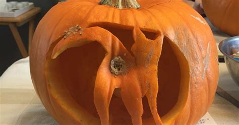 Halloween Pumpkin Ideas Guy Carves Cats Butt Into His Pumpkin Metro News