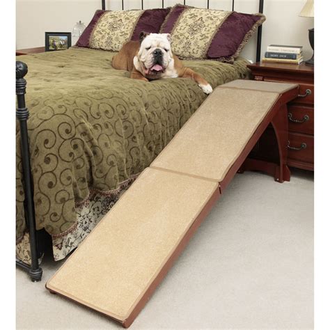 50 Dog Ramp For Bed Youll Love In 2020 Visual Hunt