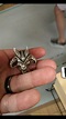 Thinking of buying Aleister Crowley's ring : r/occult