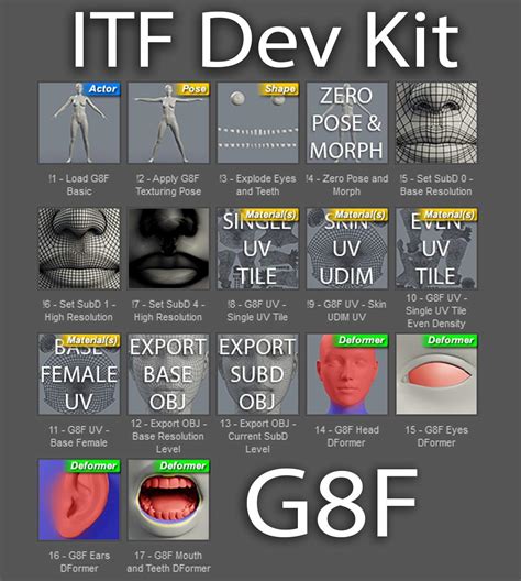 Itf Dev Kit For Genesis 8 Female 3d模型 Daz3d模型 3d打印模型｜乐事可