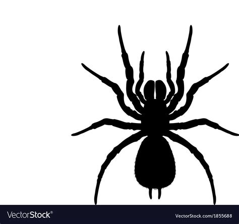 Silhouette Of A Spider Royalty Free Vector Image