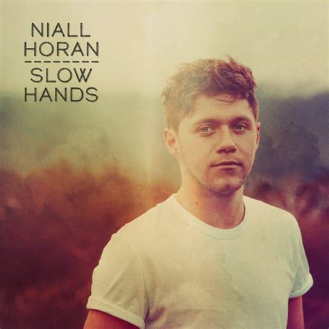 แปลเพลง Slow Hands Niall Horan ความหมายเพลง