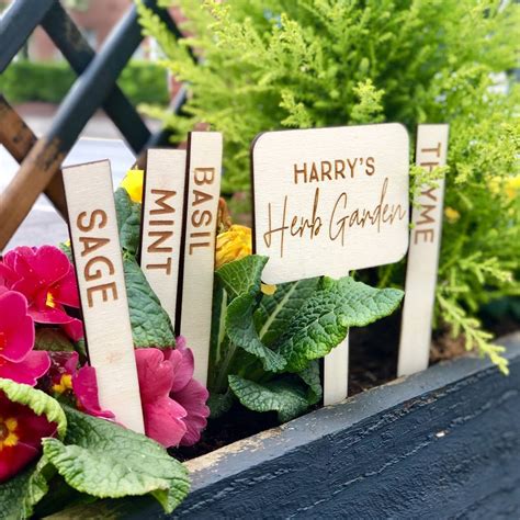 Personalised Set Of Five Herb Garden Plant Markers By The Alphabet T