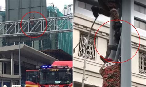 Ini adalah papan tanda nombor laluan jalan (route markers) dan ia dipasang / diletak di semua papan tanda jarak dan tiang km di sepanjang jalan. Lelaki Lalok Buat Hal Di Bukit Bintang, Panjat Papan Tanda ...
