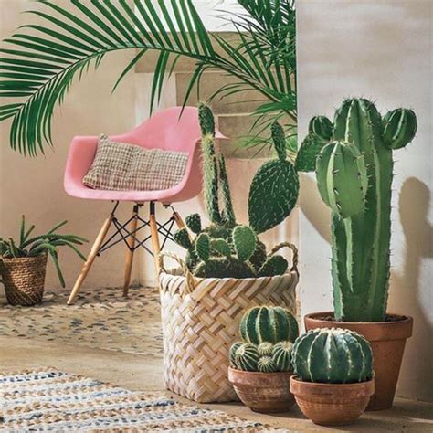 Tropical Interior With Artificial Cactus