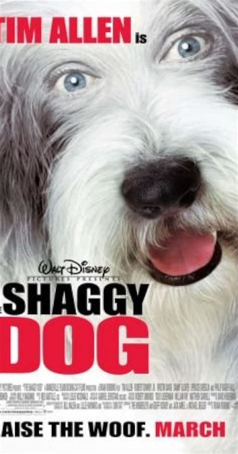 The Shaggy Dog 2006 Photo Gallery Imdb