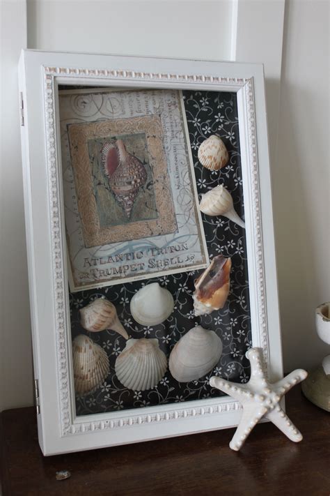 Beach Shell Collage Wall Art Found This Display Cabinet On Sale And