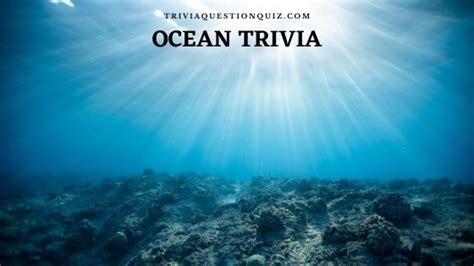 Every time you play fto's daily trivia game, a piece of plastic is removed from the ocean. 50 Useful Ocean Trivia MCQ Questions for General Knowledge ...