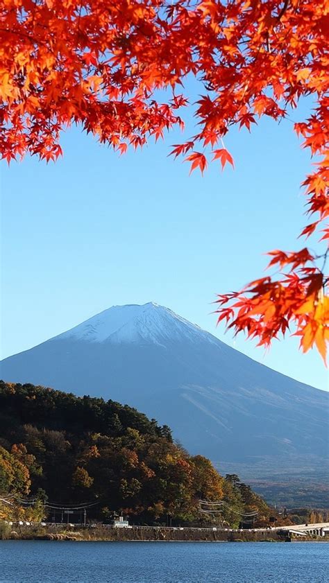 20 Autumn Japan Wallpaper 4k Basty Wallpaper