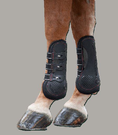 Waldhausen Memory Foam Tendon Boots Horse Heaven Equestrian