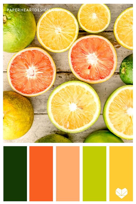 Citrus Color Palette Lemons Limes Grapefruit Color Palette Yellow