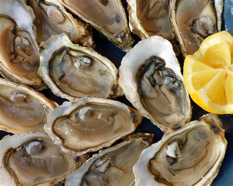 Lend Your Support To Rhode Island Aquaculture Ri Oyster Trail