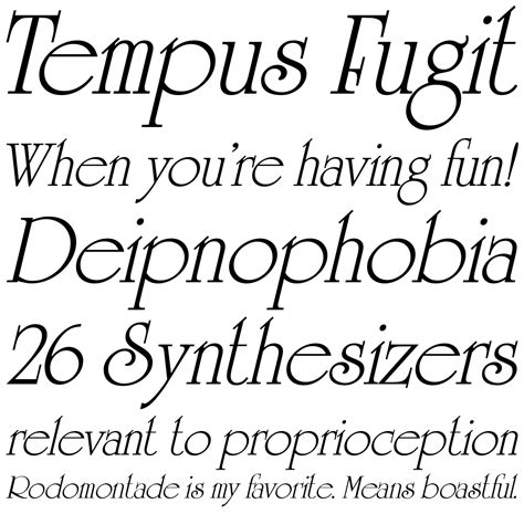 University Sh Regular Italic Fonts