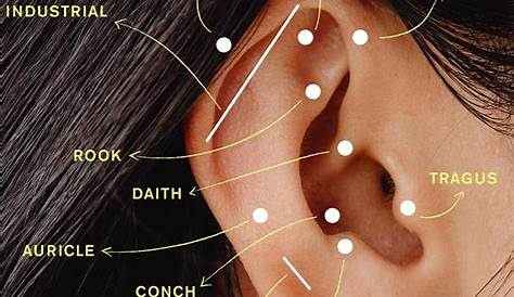 Your Guide to the Different Types of Ear Piercings | Who What Wear