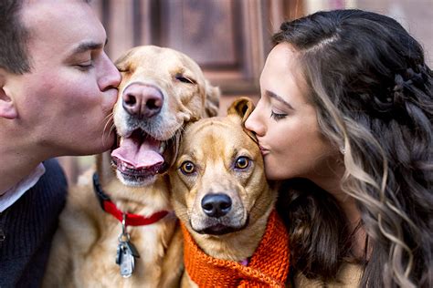 Why Engagement Shoots Have Gone To The Dogs Huffpost Life