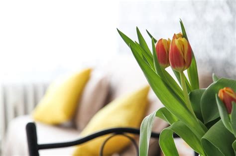 Mejor precio garantizado en hoteles, resorts, apartamentos y más. Redecorate for Spring Cleaning with Flowers - Blogs | 1 ...