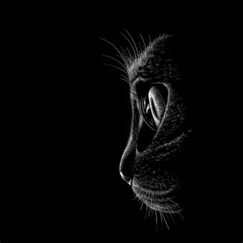 Premium Vector Black Cat Illustration