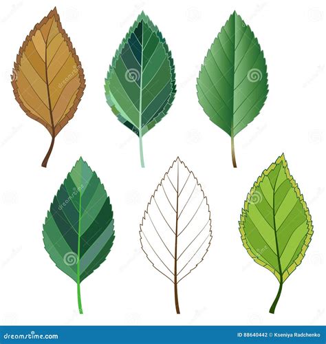 Colorful Mosaic Apple Leaves Isolated Easy To Modify Stock Vector