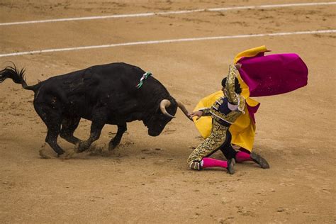 Spanish Bulls In Historic Knockout Victory