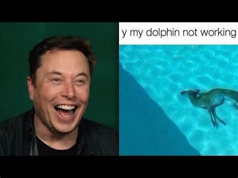 Ups, downs, scandals, and memes. Elon Musk finds "dolphin not working" meme hilarious : videos