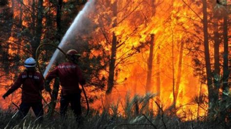 Pompierii Rom Ni Lupt Cu Fl C Rile N Zona Spathari Pe Insula Greceasc Evia