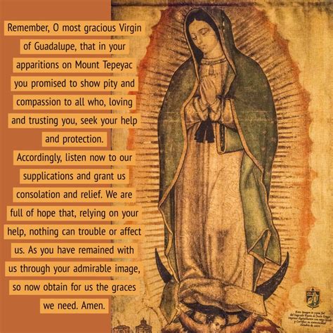 Our Lady Of Guadalupe Pray For Us Mary Of Guadalupe Virgin Of