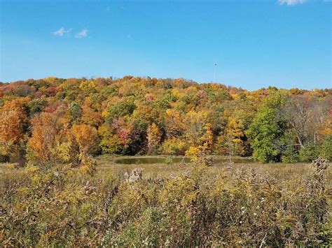 Pinchot State Forest Bear Lake Rd Thornhurst Township Pa 18424 Usa