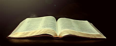 It was known briefly as oracle open office before being discontinued in 2011. The Bible is the Word of God - UnderstandChristianity.com