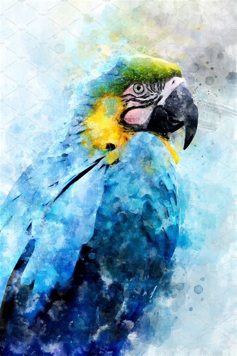 Parrot Watercolor Illustration Por Parrots Art Watercolor