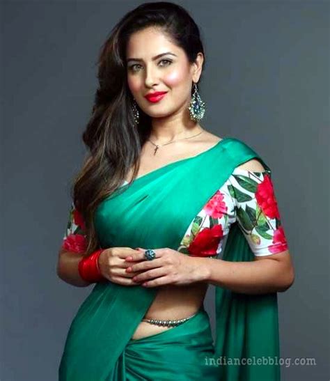 Pooja Bose Hindi Tv Celeb Cts1 17 Hot Sari Pic