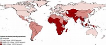 Burden of typhoid fever in low-income and middle-income countries: a ...