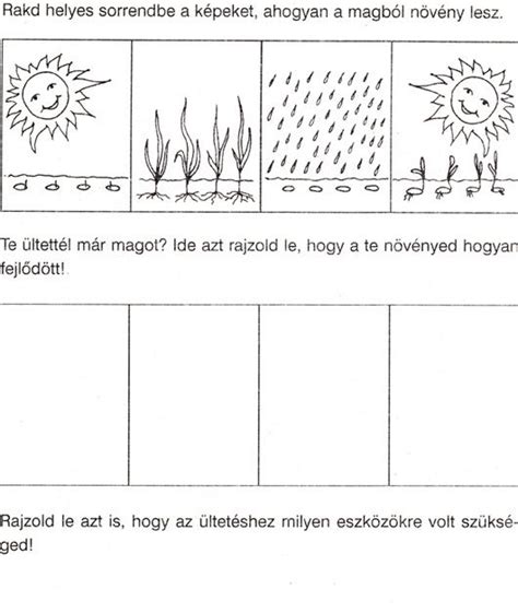 Ovisélet Nyomtatható Feladatlapok Tavasz Cicely Mary Barker