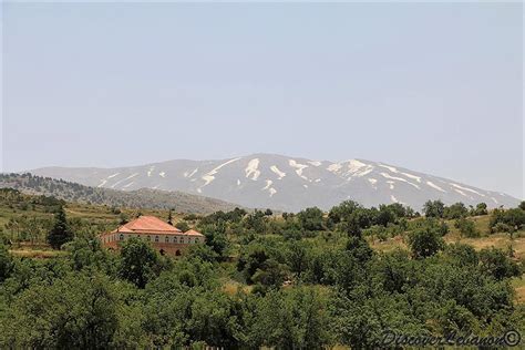 Discover Lebanon Image Gallery Nature Mount Hermon As Seen From Qawqaba