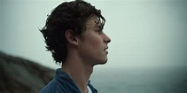 Shawn Mendes: In Wonder Review: Netflix’s Documentary on the Pop Icon ...