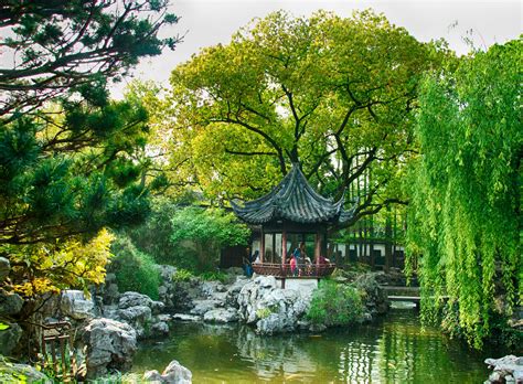 Wallpaper Trees China Nature Park River Pond Jungle Shanghai