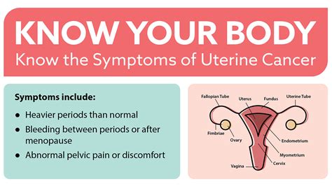 Know Your Body Know The Symptoms Of Uterine Cancer VA News