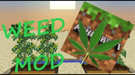 Weed Mod Herblore Minecraft Weed Mod 420 Youtube