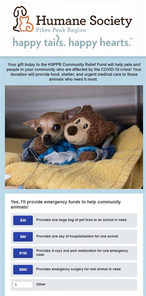 Top 108 Fundraising Ideas For Animal Shelters
