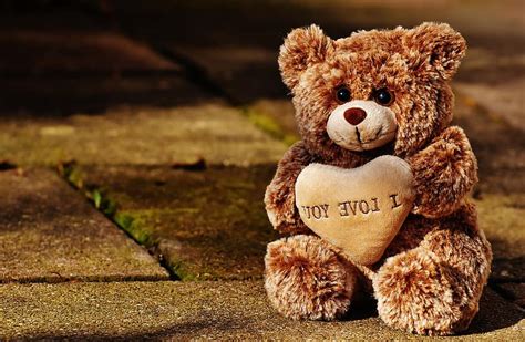 Love Teddy Bears Cute Stuffed Animal Valentines Day Friends