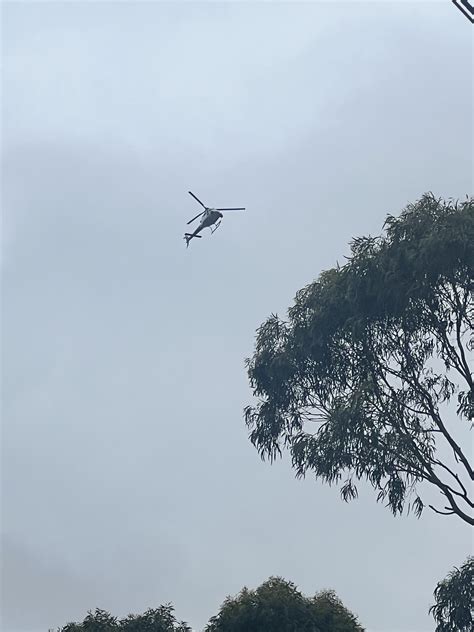 Why are there all these helicopters? : r/sydney