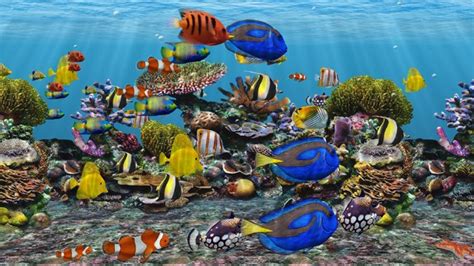 50 Free Fish Tank Wallpaper Screensavers Wallpapersafari