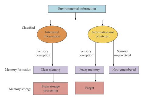 Information Processing In The Human Brain Download Scientific Diagram